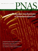 Whole Genome Shotgun Assembly and Comparison of Human Genome Assemblies