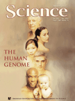 The Sequence of the Human Genome