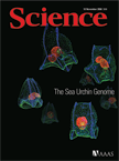 The Sea Urchin Genome